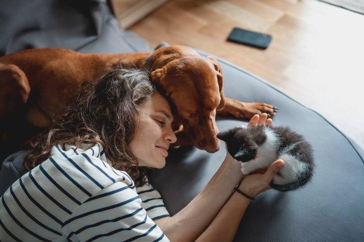 Cuidados Essenciais para Cães e Gatos: Dicas Para Donos